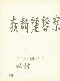 大叔轻轻宠宝贝快叫老公小说