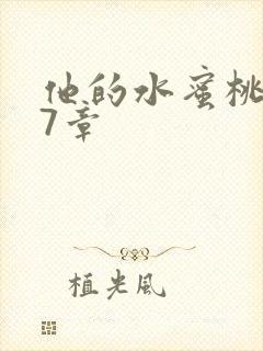 他的水蜜桃第27章