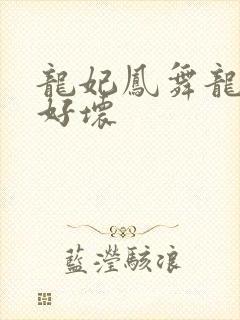 龙妃凤舞龙王你好坏
