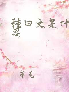 种田文是什么意思
