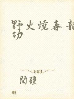 野火烧春 龙鸣功
