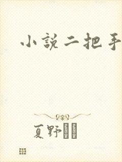 小说二把手