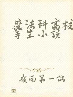 魔法科高校的劣等生小说