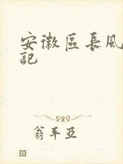 安徽区长风流日记