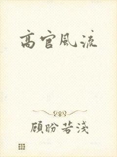 高官风流