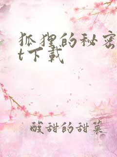 狐狸的秘密txt下载