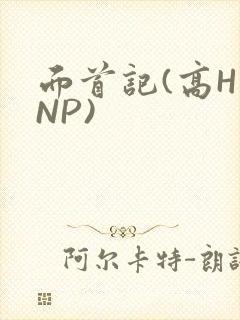 面首记(高H NP)