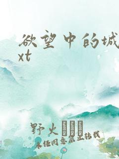 欲望中的城市txt