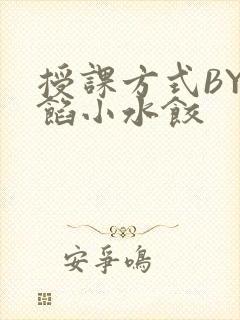 授课方式BY肉馅小水饺