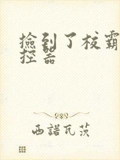 捡到了校霸的遥控器