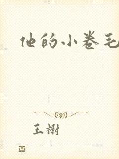 他的小卷毛