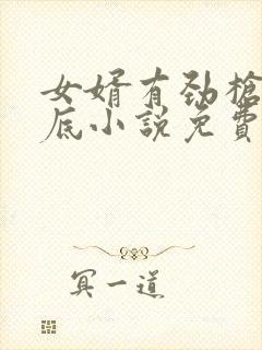 女婿有劲枪枪到底小说免费阅读