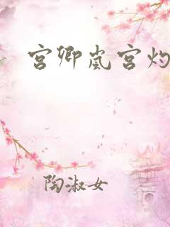 宫卿岚宫灼小说