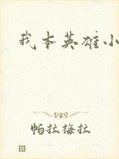 我本英雄小说