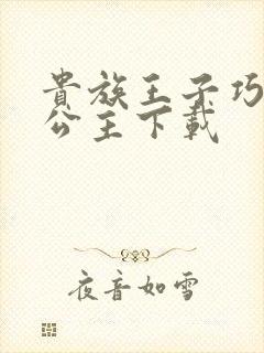 贵族王子巧遇穷公主下载