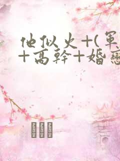 他似火+(军婚+高干+婚恋)