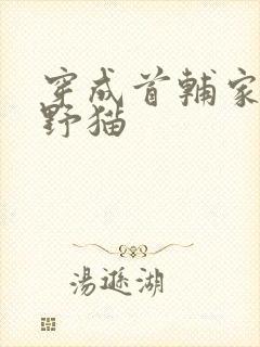 穿成首辅家的小野猫