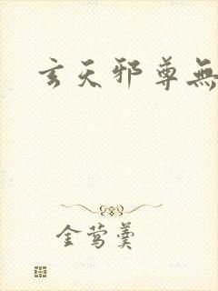 玄天邪尊无弹窗