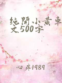 纯开小黄车小短文500字