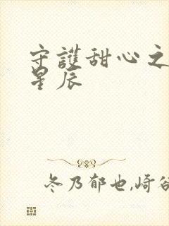 守护甜心之暗夜星辰