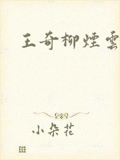 王奇柳烟云