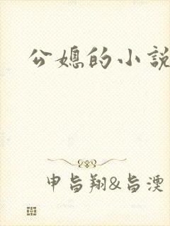 公媳的小说