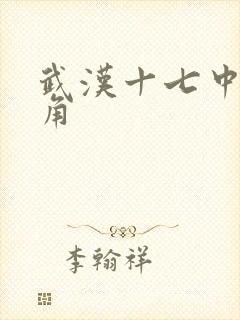 武汉十七中女主角