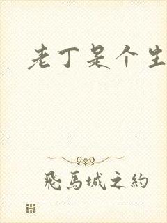 老丁是个生意人