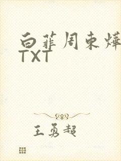 白菲周东烨小说TXT