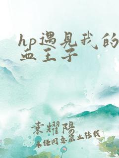 hp遇见我的混血王子