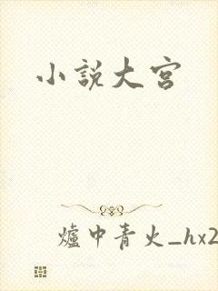 小说大宫