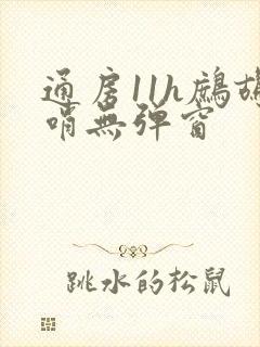 通房11h鹧鸪哨无弹窗