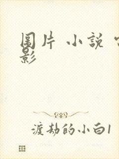 图片 小说 电影