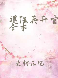 退伍兵升官记 全本