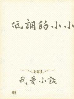 低调的小小宫女