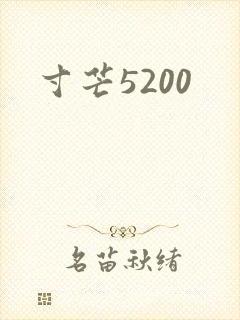 寸芒5200
