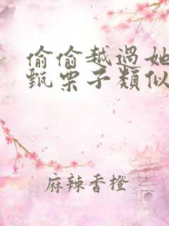 偷偷越过她by甄栗子类似小说