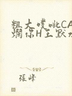 粗大噗呲CAO烂你H王默水王子