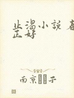 止渴小说 春光正好