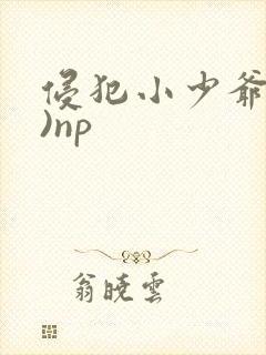 侵犯小少爷(H)np