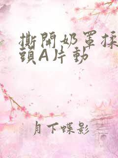 撕开奶罩揉吮奶头A片动