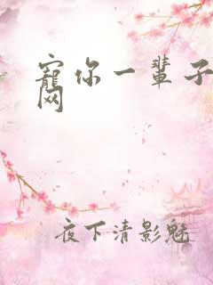 宠你一辈子书包网