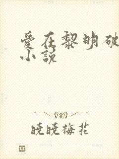 爱在黎明破晓前小说