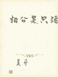 相公是只猪