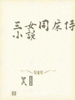 三女同床侍一夫小说