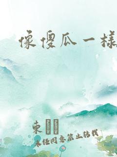 像傻瓜一样去爱