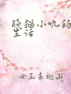 贱猫小叽的幸福生活