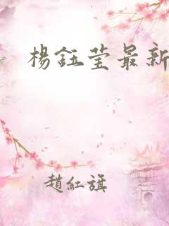 杨钰莹最新小说