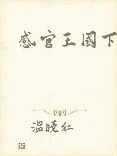 感官王国下载