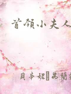 首领小夫人